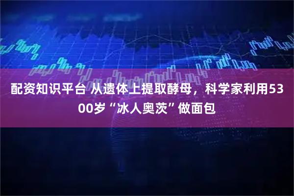 配资知识平台 从遗体上提取酵母，科学家利用5300岁“冰人奥茨”做面包